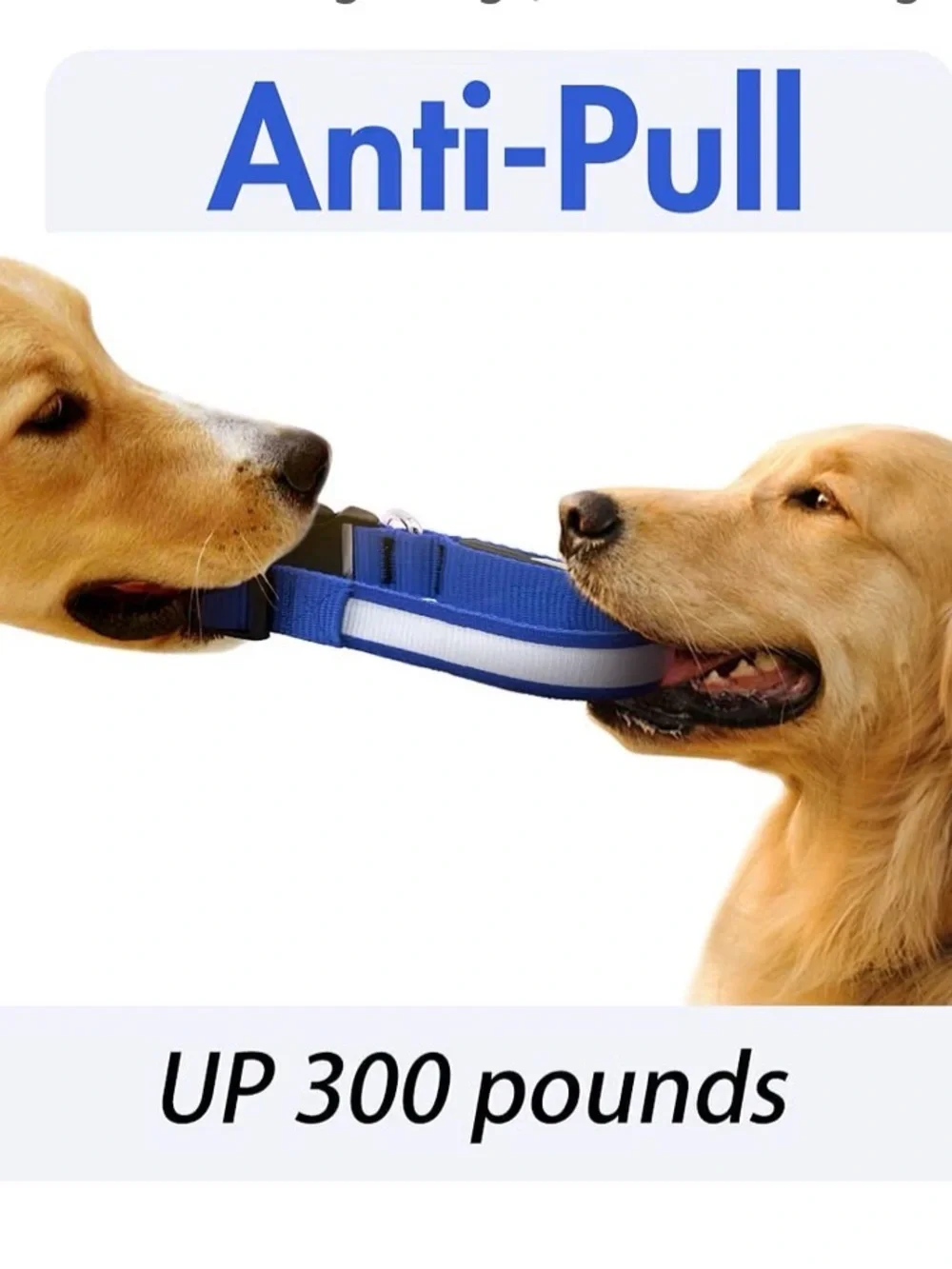 Led Dog Collar, Dog Light Up Collar,For Night Walking (Blue, Medium) Adjustable,